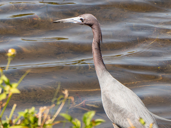 Disneyworld0325-148