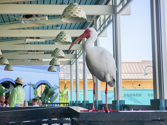 Disneyworld0325-004