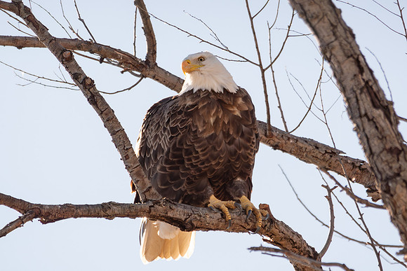 SacColNWR 012025-47