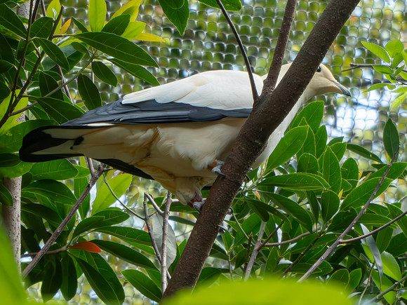 Disneyworld0325-199