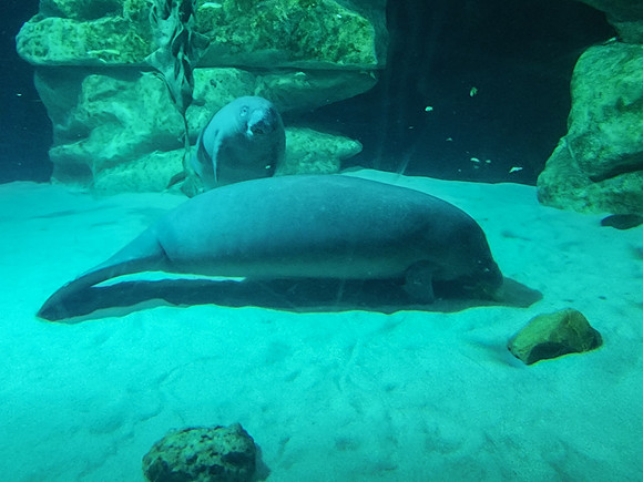 Disneyworld0325-031