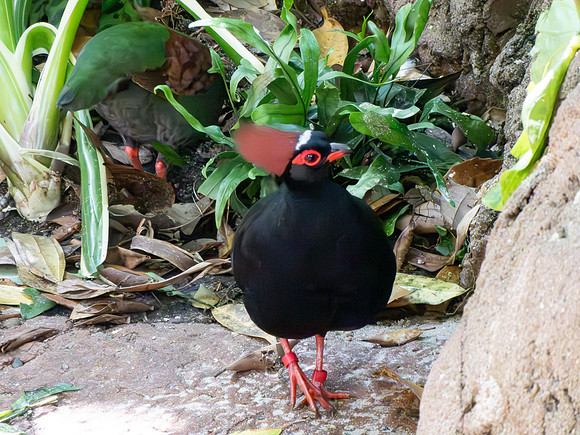 Disneyworld0325-205