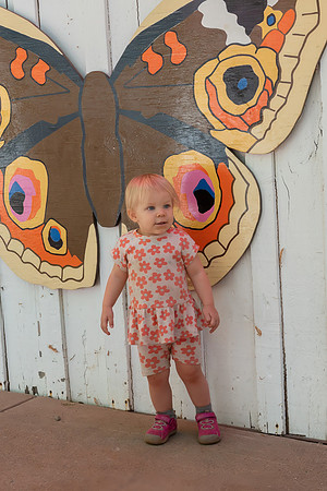 Avery 091424-37