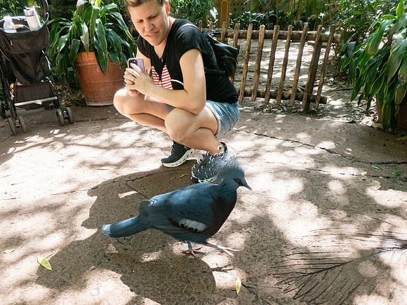 Disneyworld0325-206