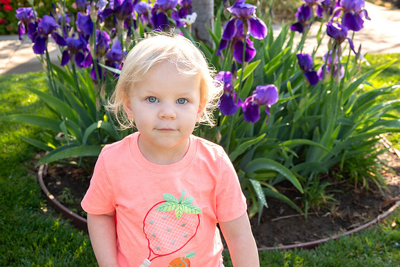 Avery 040925-03