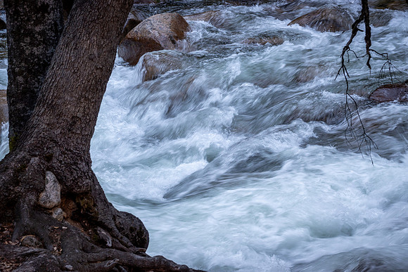 Yosemite0624-146