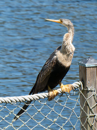 Disneyworld0325-233
