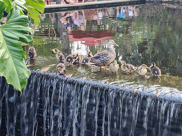 Disneyworld0325-228