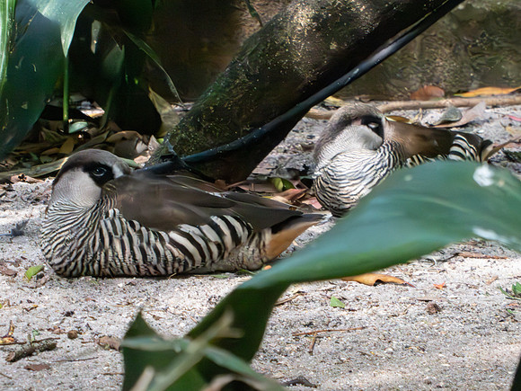 Disneyworld0325-208