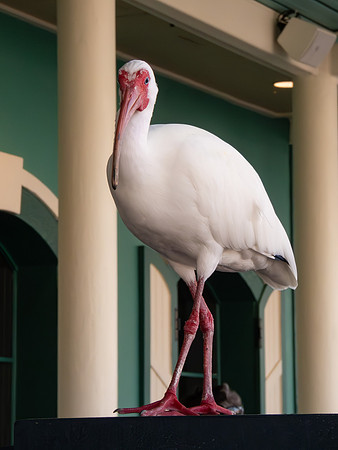 Disneyworld0325-002