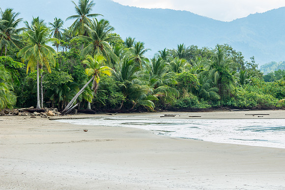 Corcovado National Park Beach