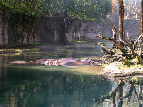 Disneyworld0325-183