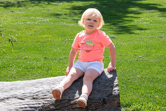 Avery 040925-17