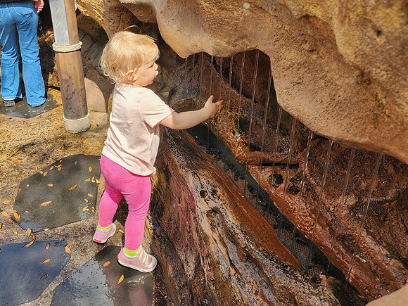 Disneyworld0325-041