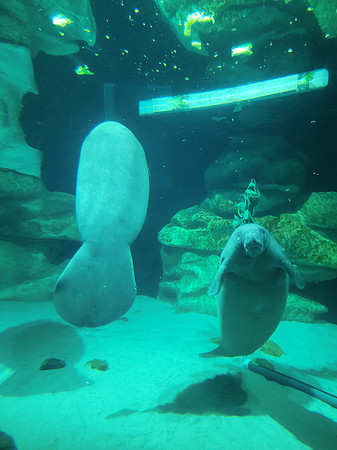 Disneyworld0325-033