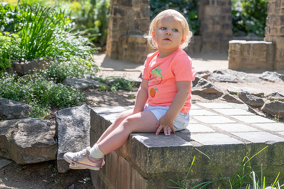 Avery 040925-14