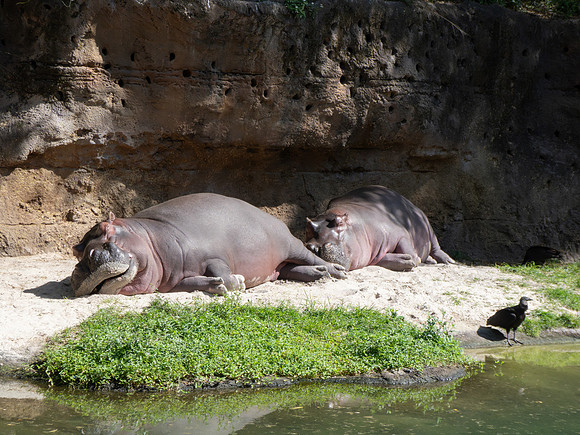 Disneyworld0325-184