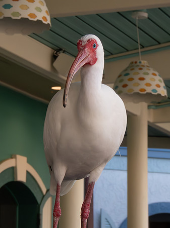 Disneyworld0325-003
