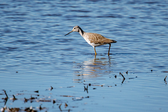 0122 Staten Island CRP -14