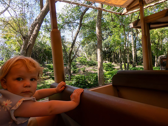 Disneyworld0325-180