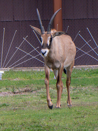 Disneyworld0325-025