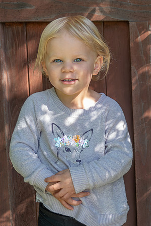 Avery 040225-01