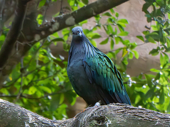 Disneyworld0325-198