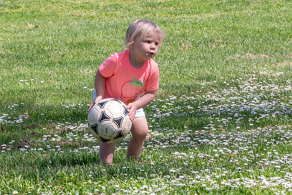 Avery 040925-21