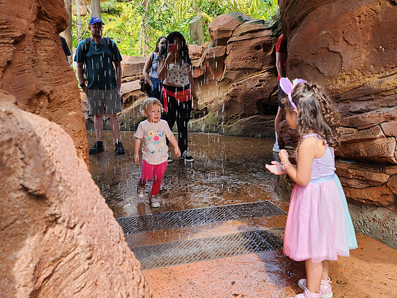 Disneyworld0325-048