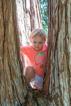 Avery 040925-16