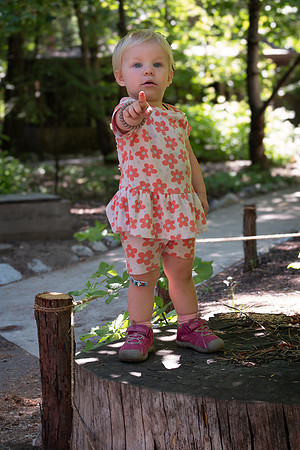 Yosemite0624-174