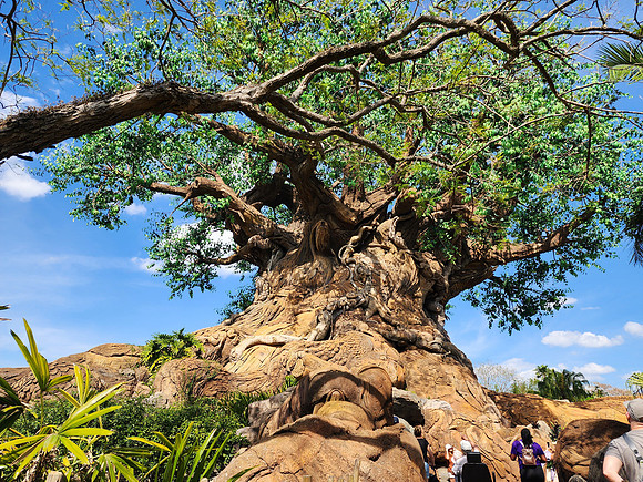 Disneyworld0325-224