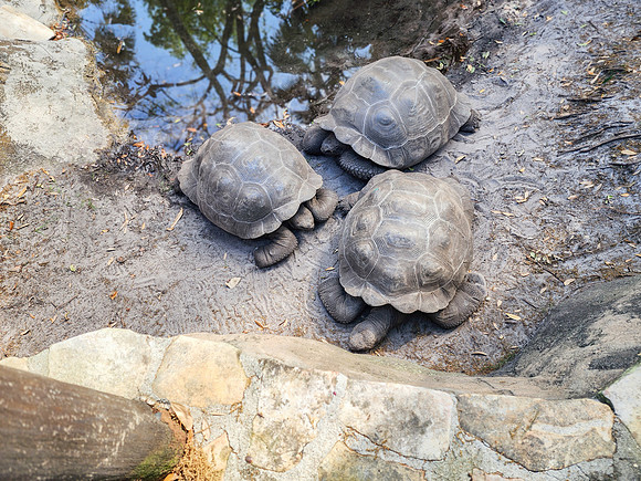 Disneyworld0325-223