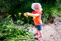 Avery 052724-11