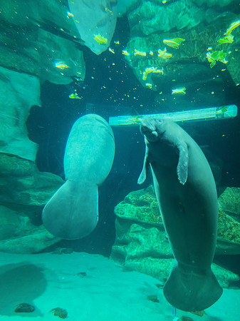 Disneyworld0325-034