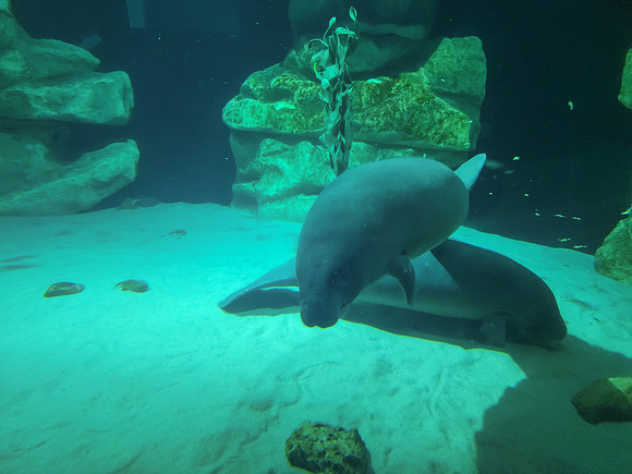 Disneyworld0325-032