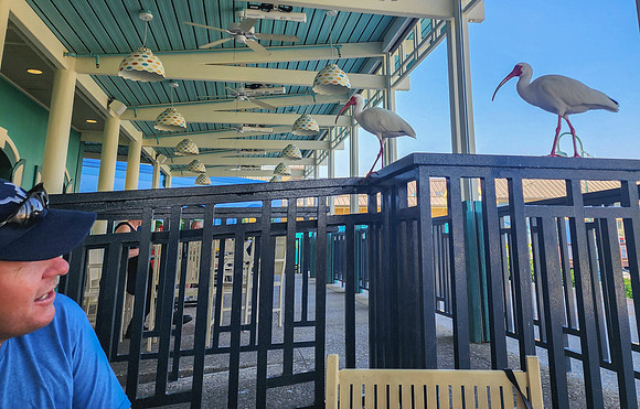 Disneyworld0325-001